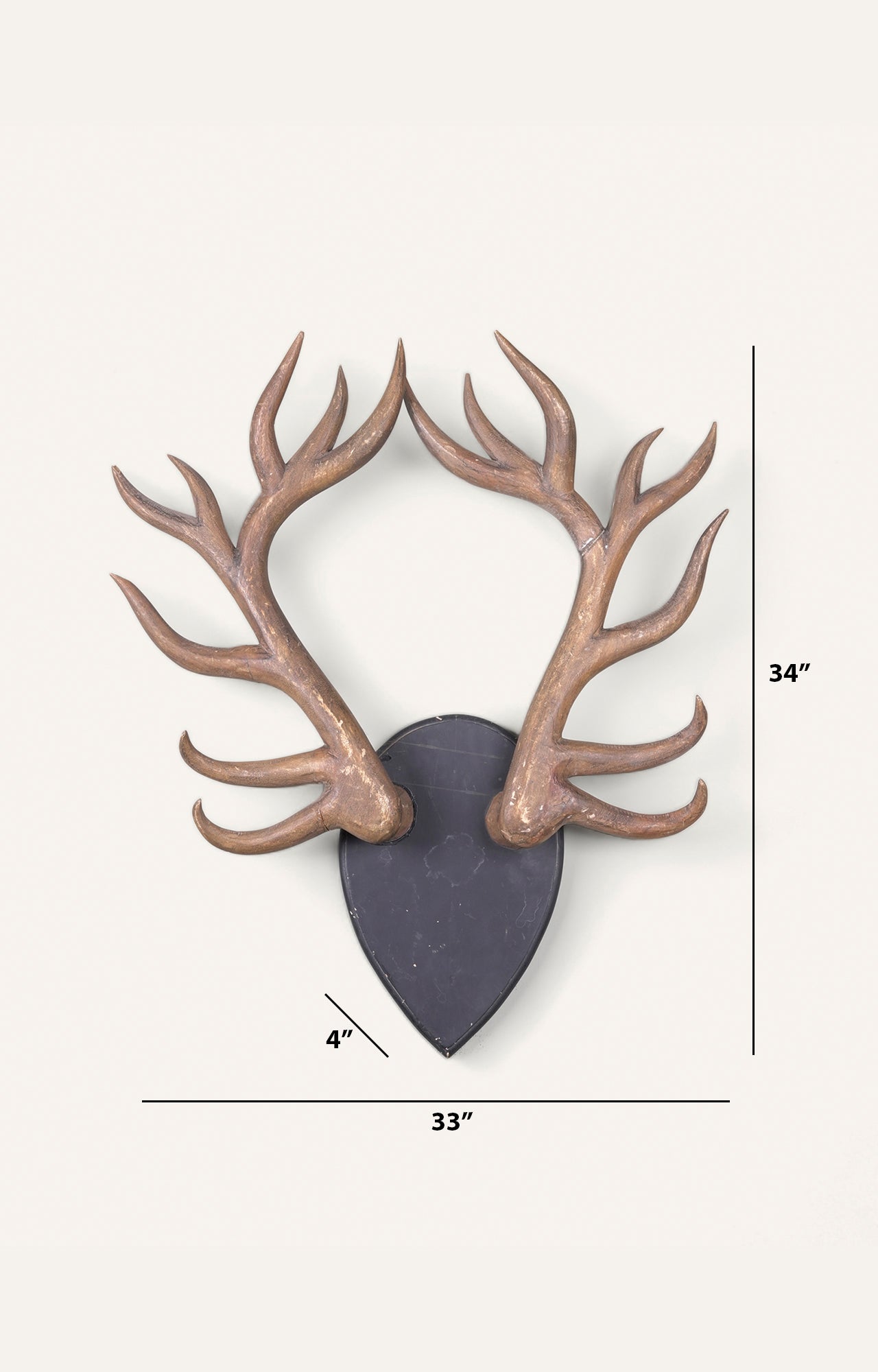 Wooden Mounted Deer Antlers