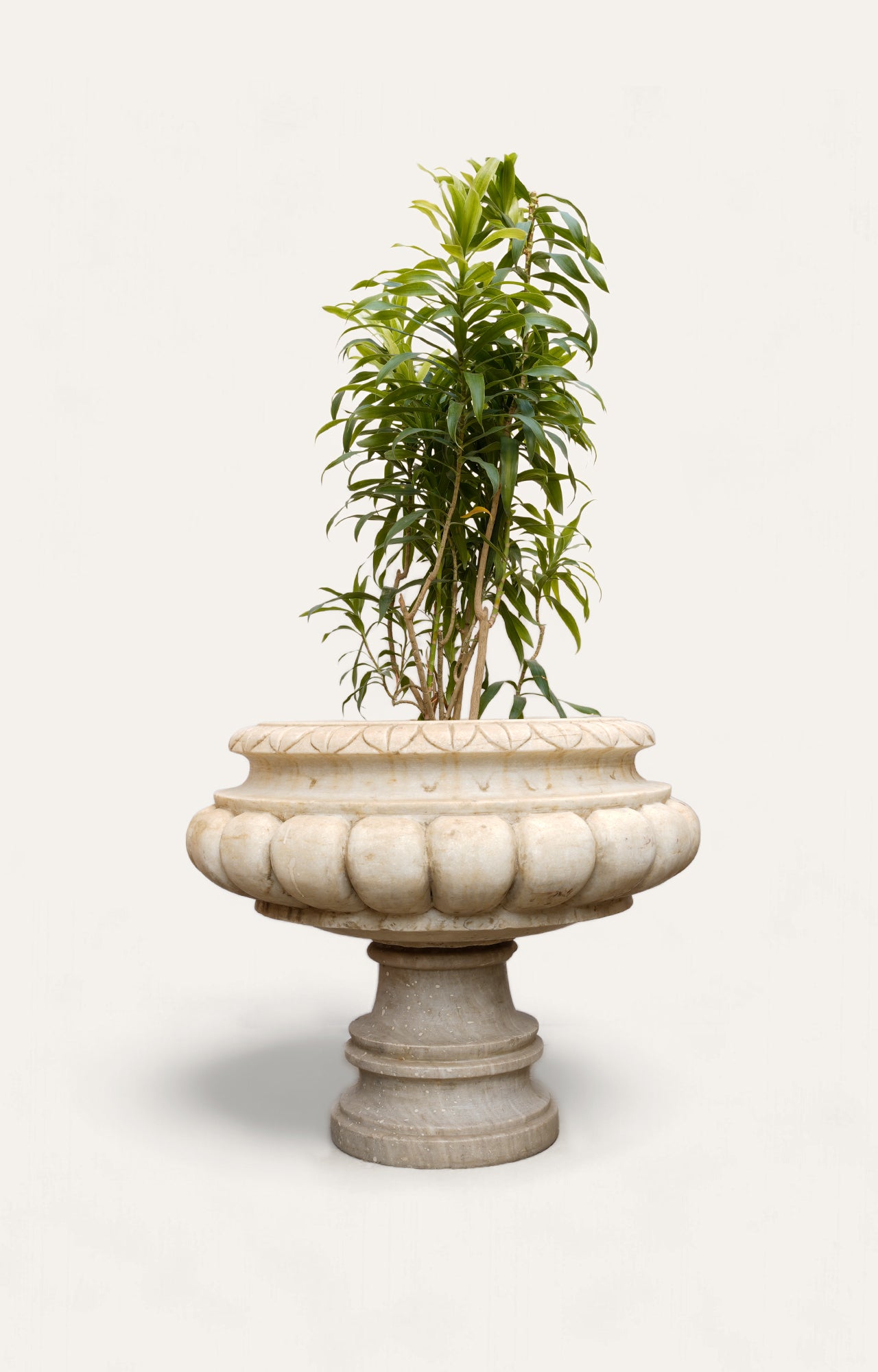 Decorative Urn For Indoor