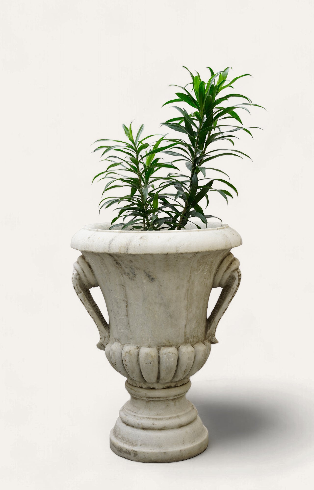 Vintage Fluted Urn Pot 