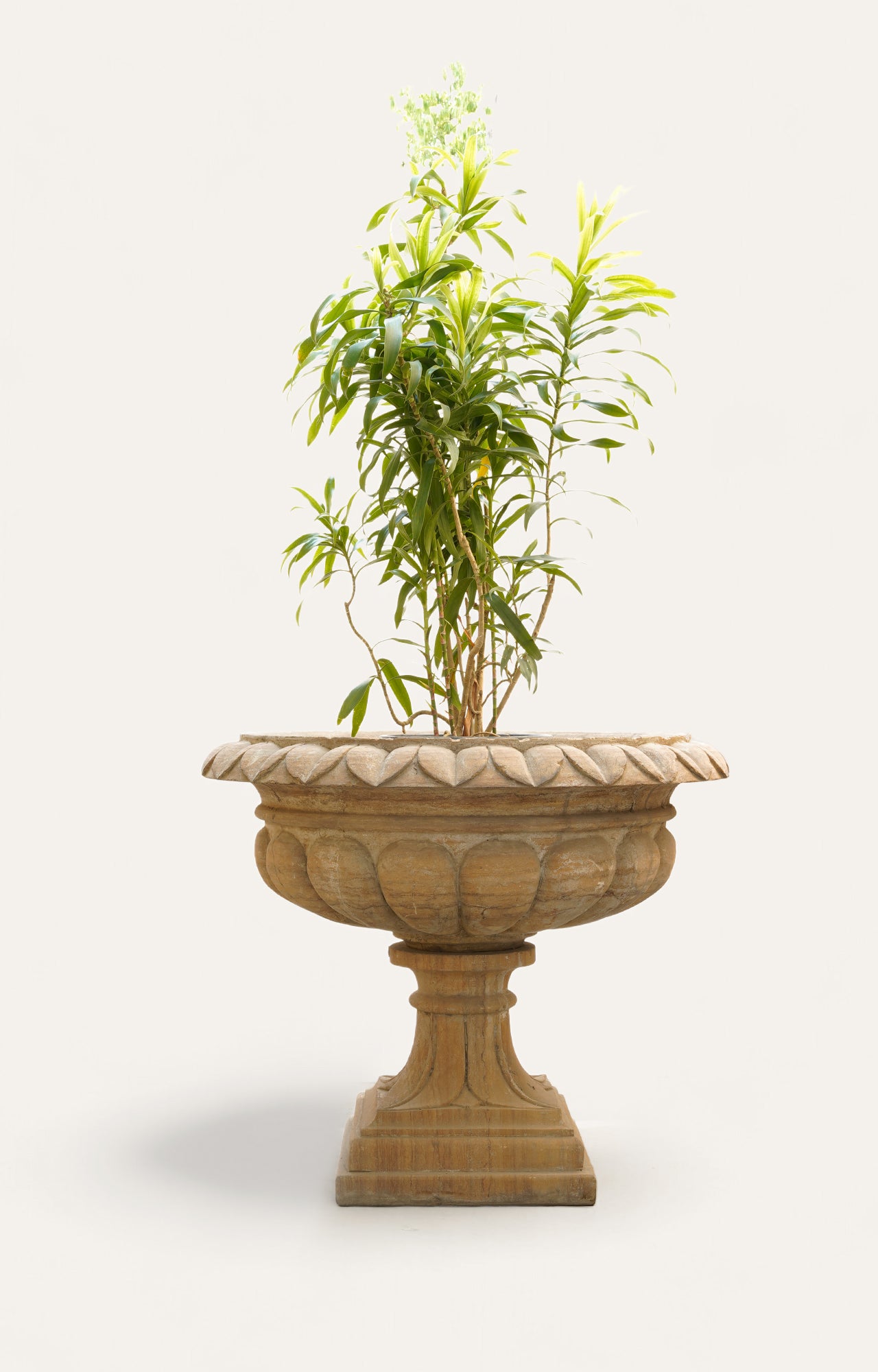 Curved Sand Stone Garden Planter