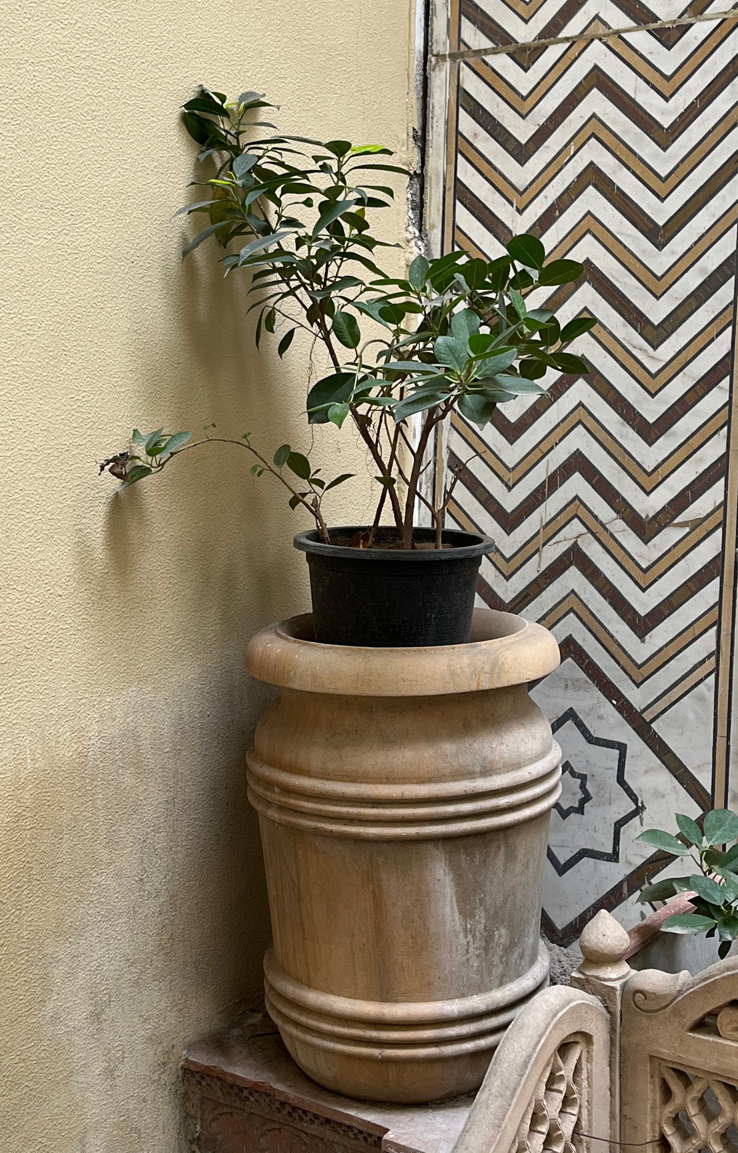 Decorative Sandstone Planter Pot