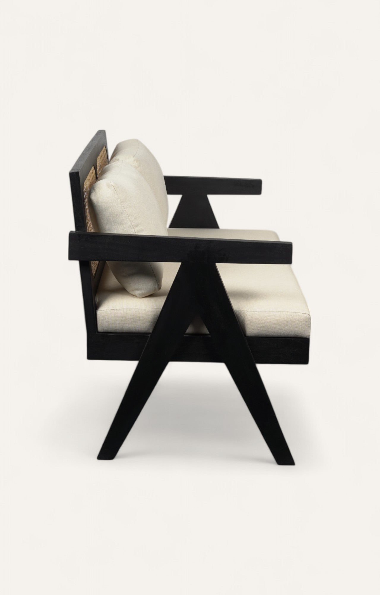 Modern Sofa