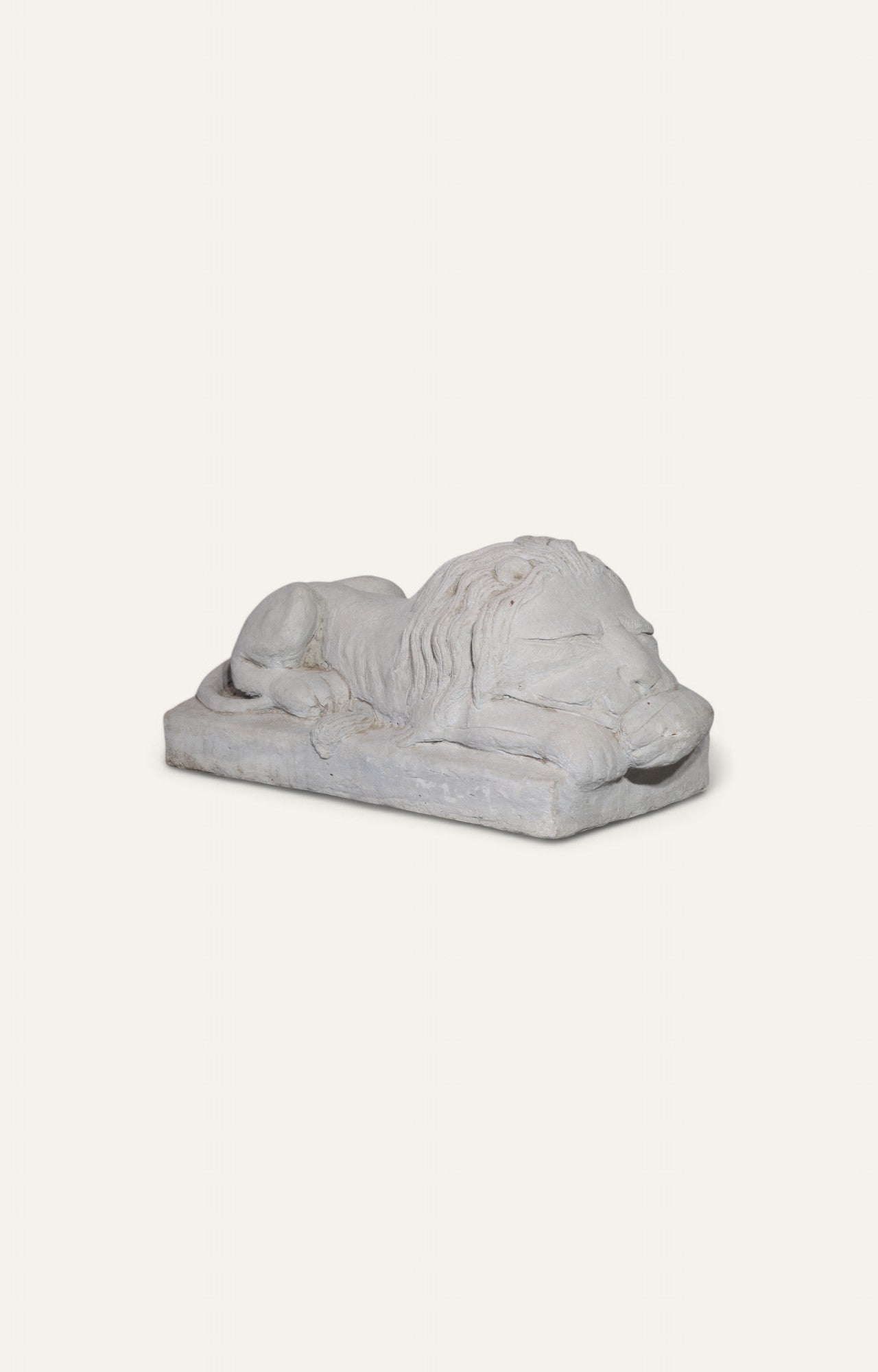 sleeping lion
