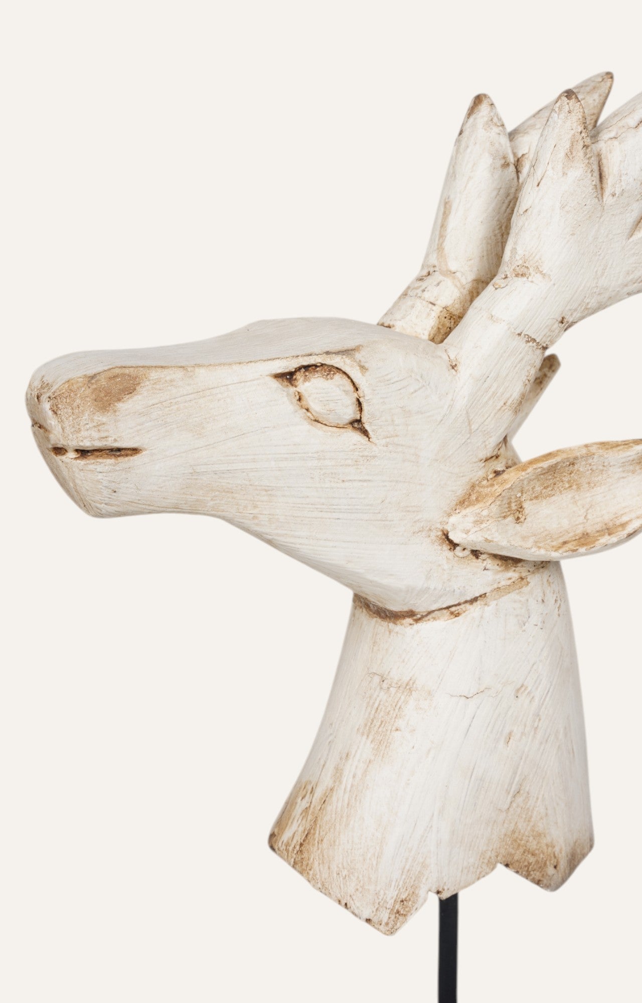 Deer Bust
