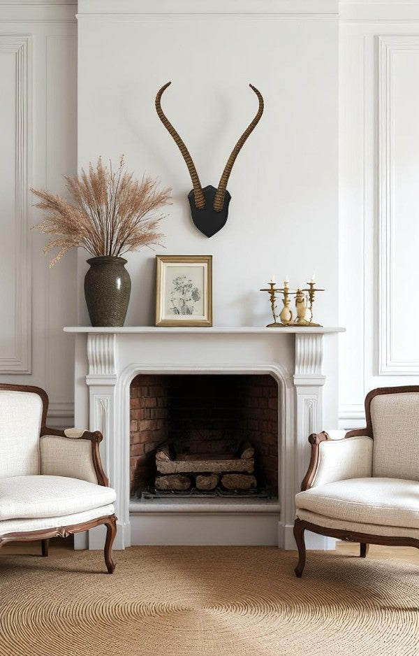 Spiral Kudu Horn Antlers Wall Decor