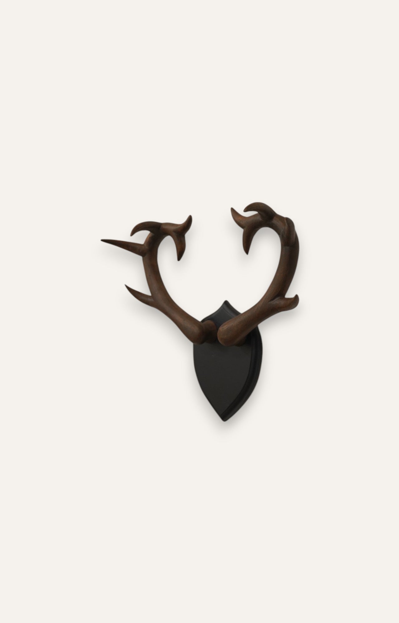 Baroque Curl Wooden Antlers 