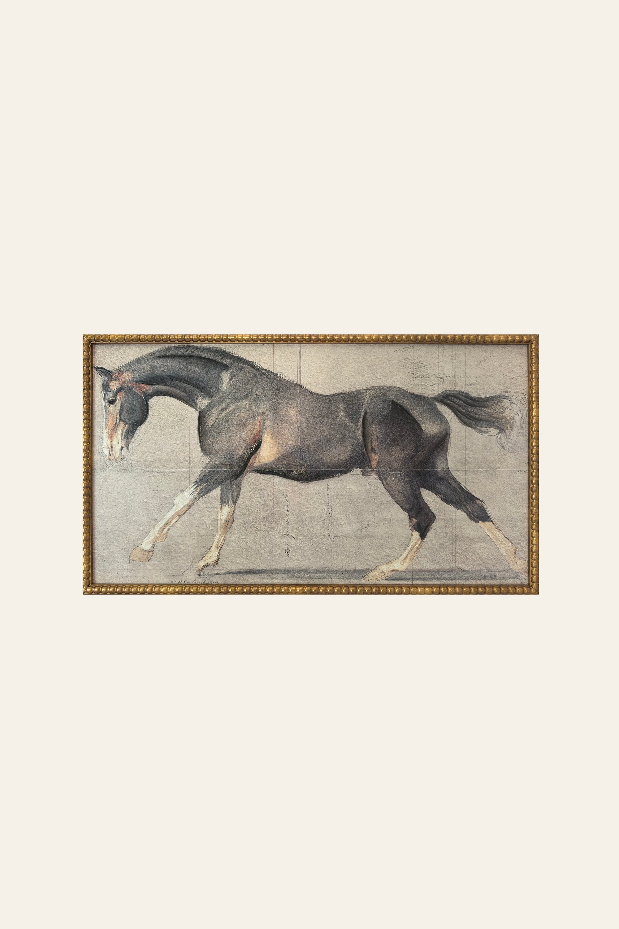 Stallion in Motion Portrait