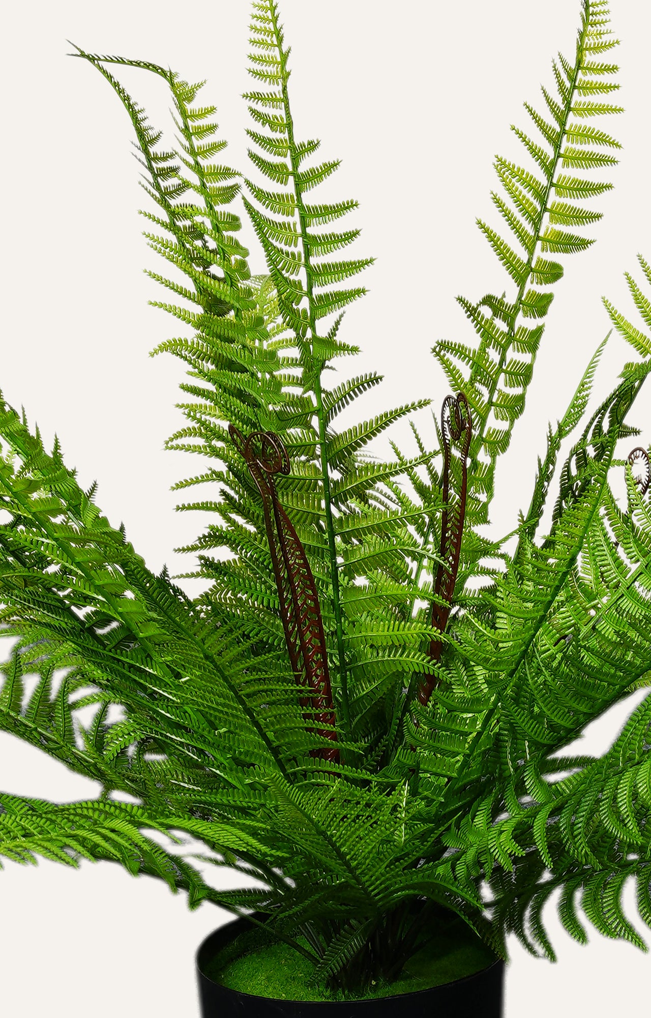 Artificial fern plant