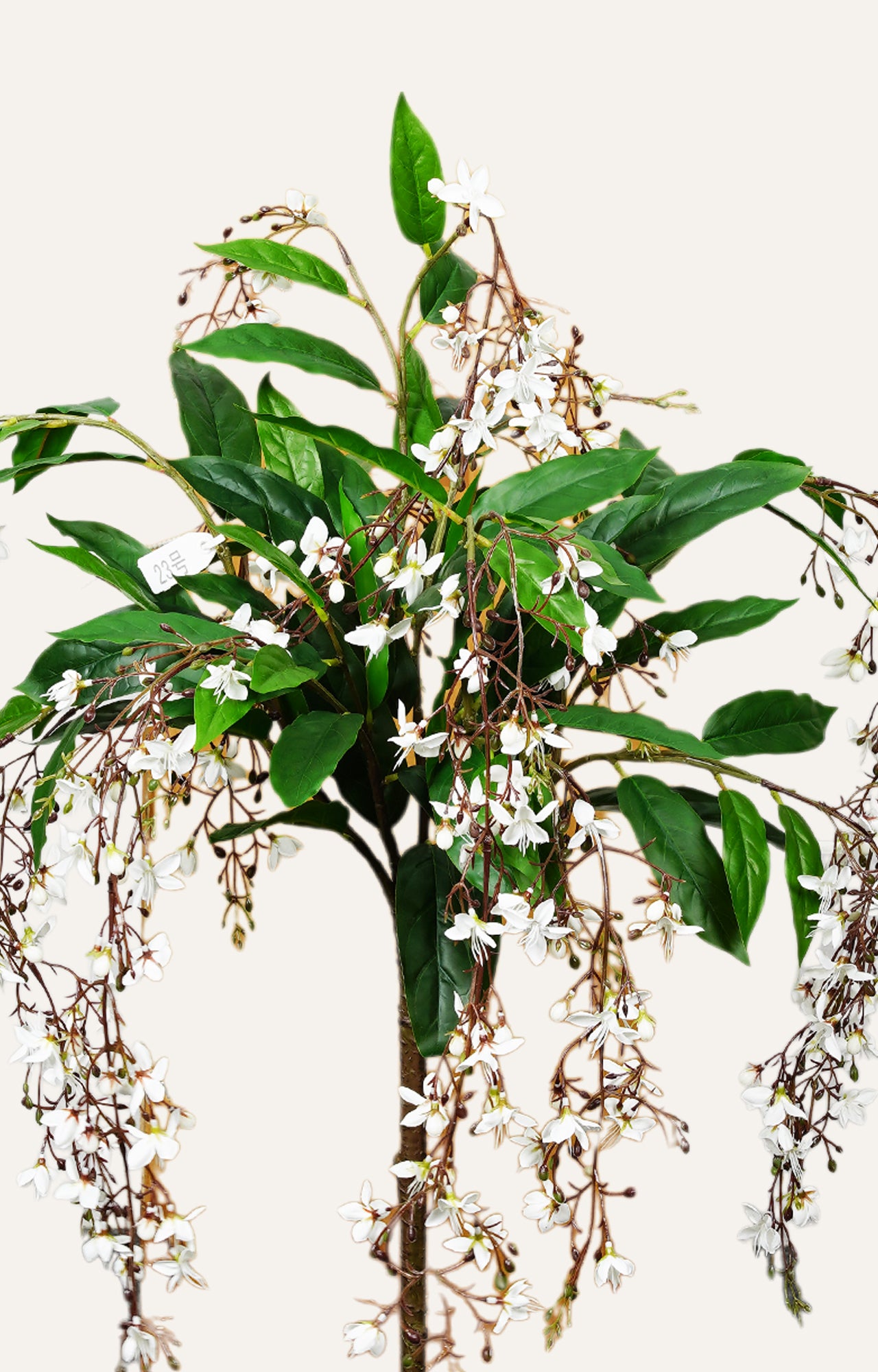 Jasmine Cascade Tree