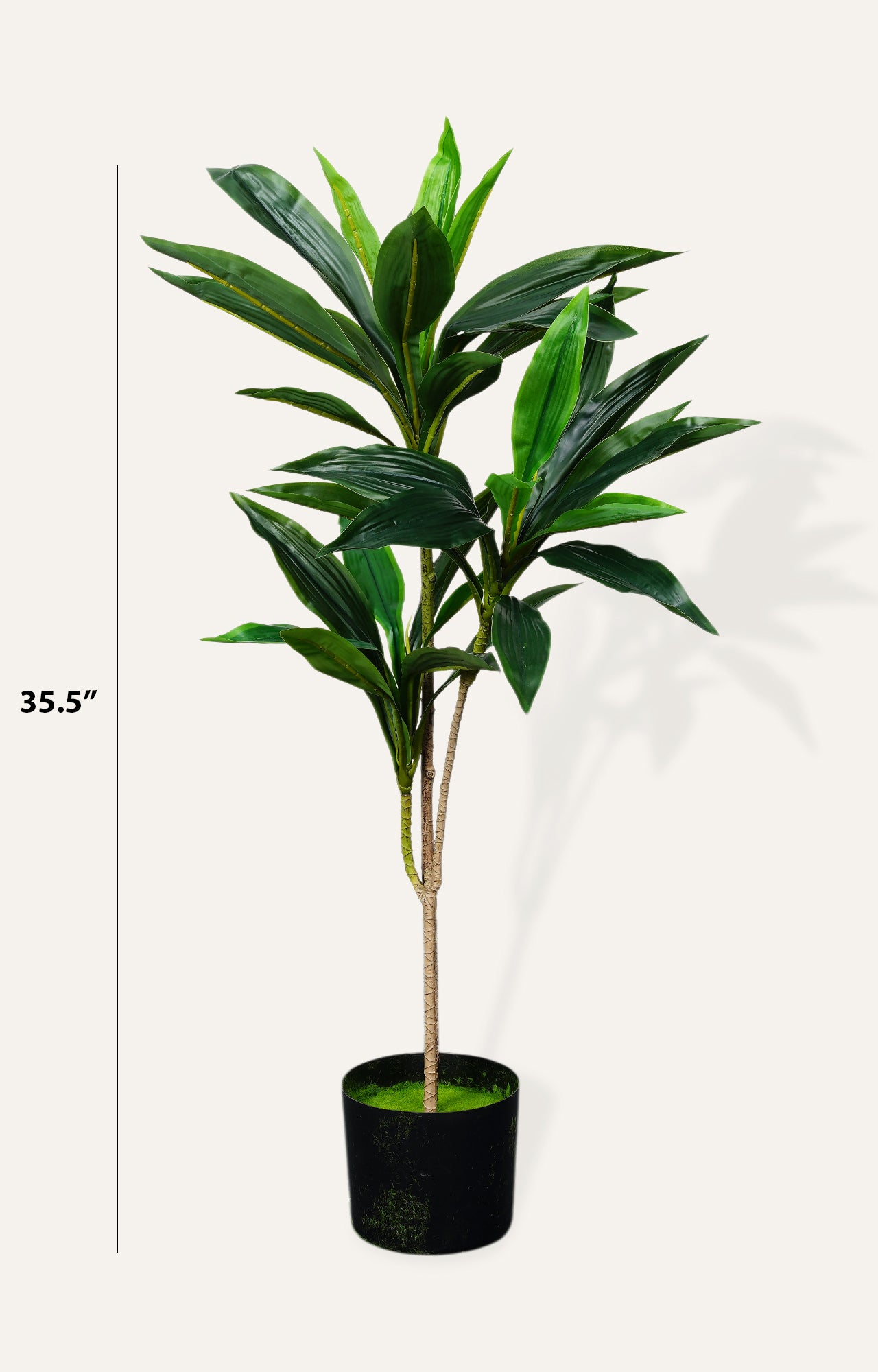 Artificial Dracaena Corn Plant Decor