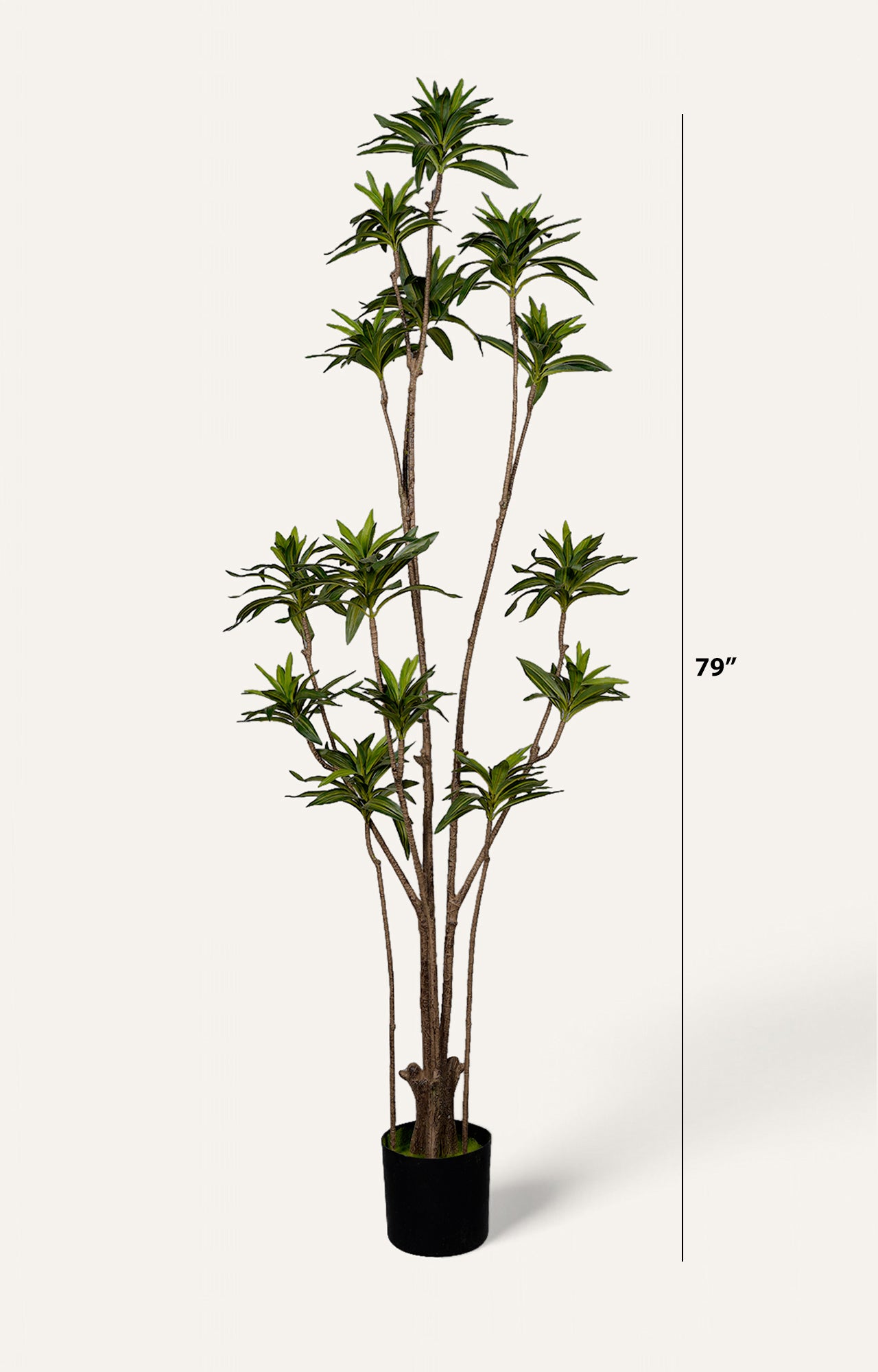 Artificial Ming Aralia Plant Decor