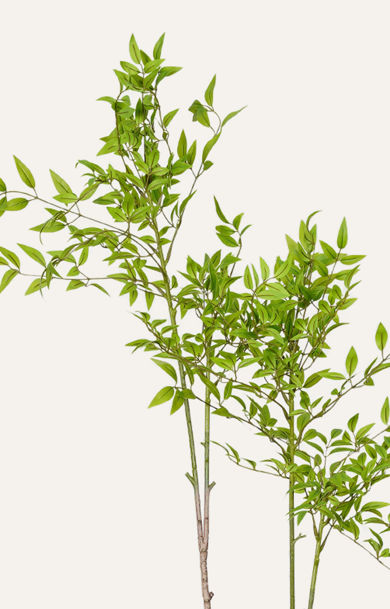 Artificial Birch Leaf Plant Decor