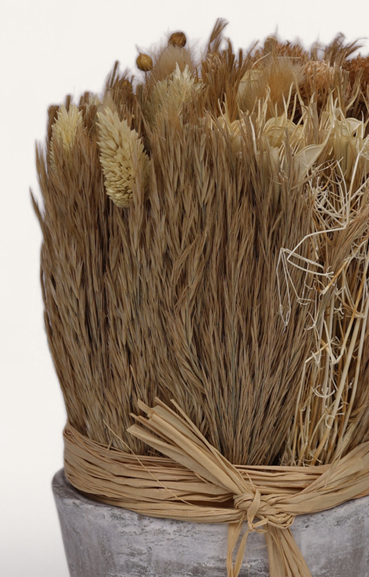 Decorative Fusi Dried Flower Cement Pot