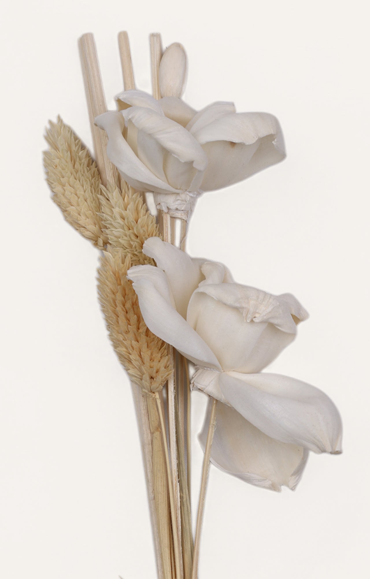 Reed Diffuser