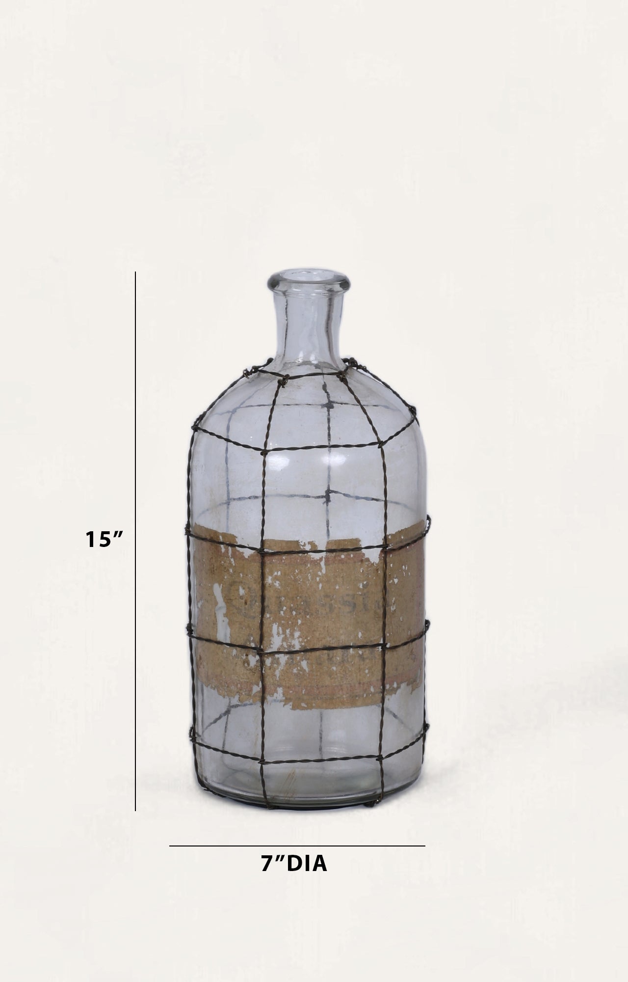 Jardiniere Wire-Caged Glass Vase