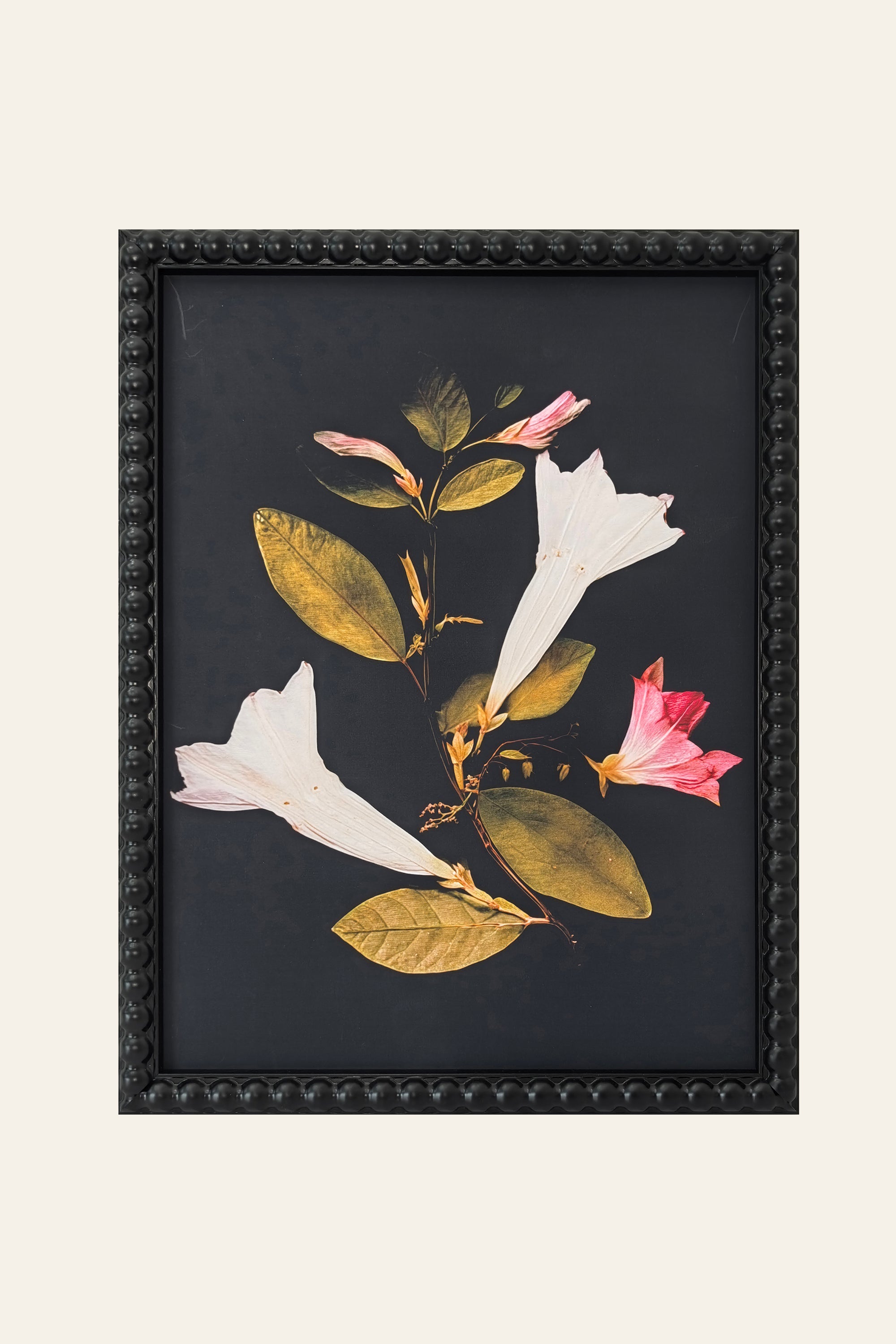Trumpet Flower Botanical Print Wall Art