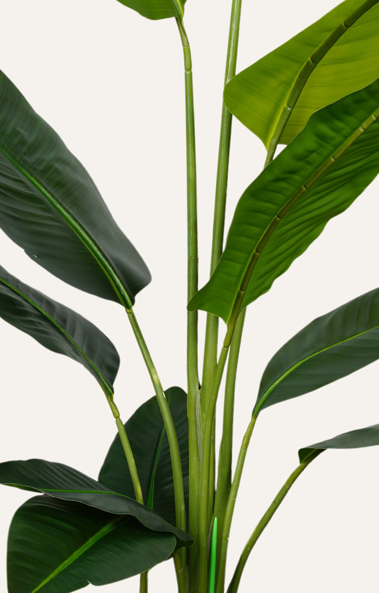 Artificial green Plant