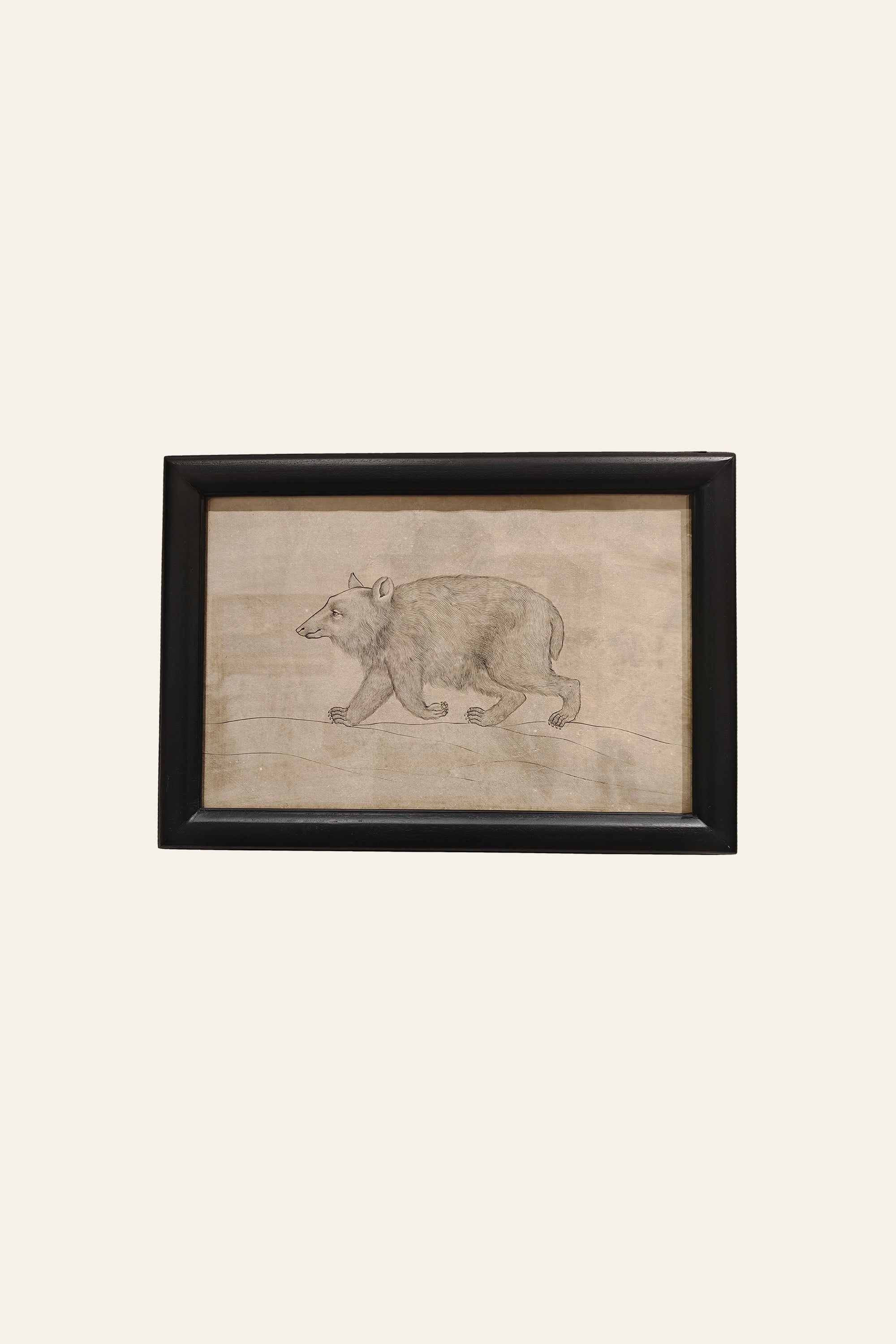 bear walking sketch artwork in black frame