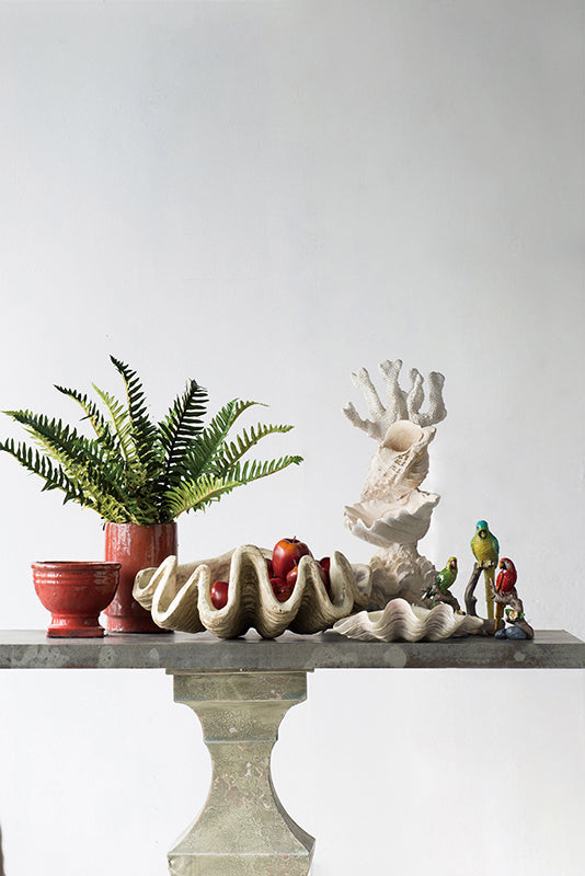coastal style clam shell centerpiece bowl