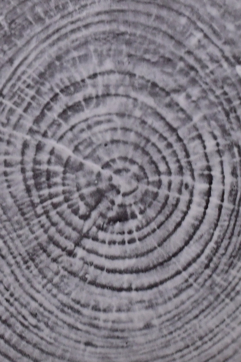 large concentric ring ceramic plate