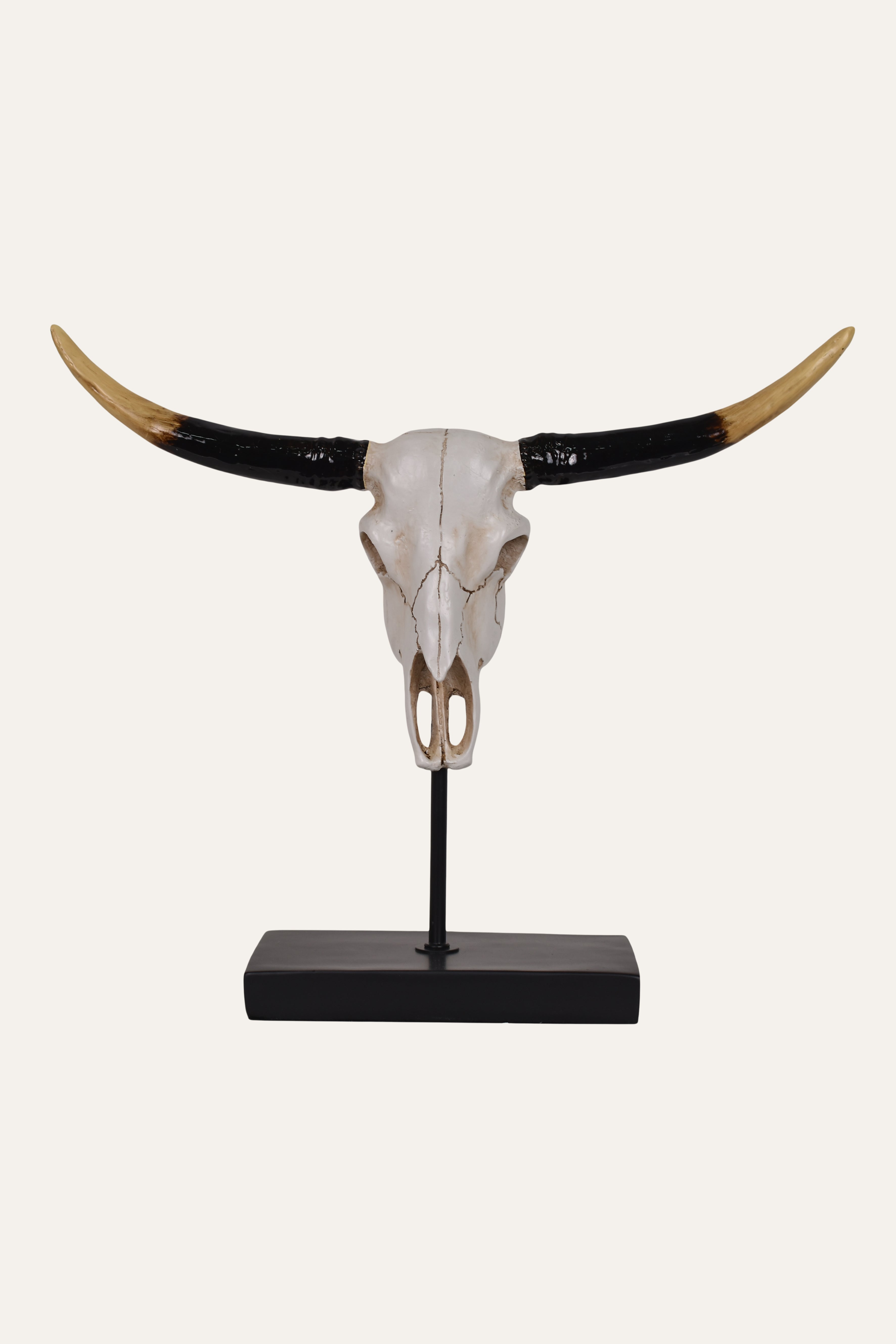 longhorn skull resin sculpture
