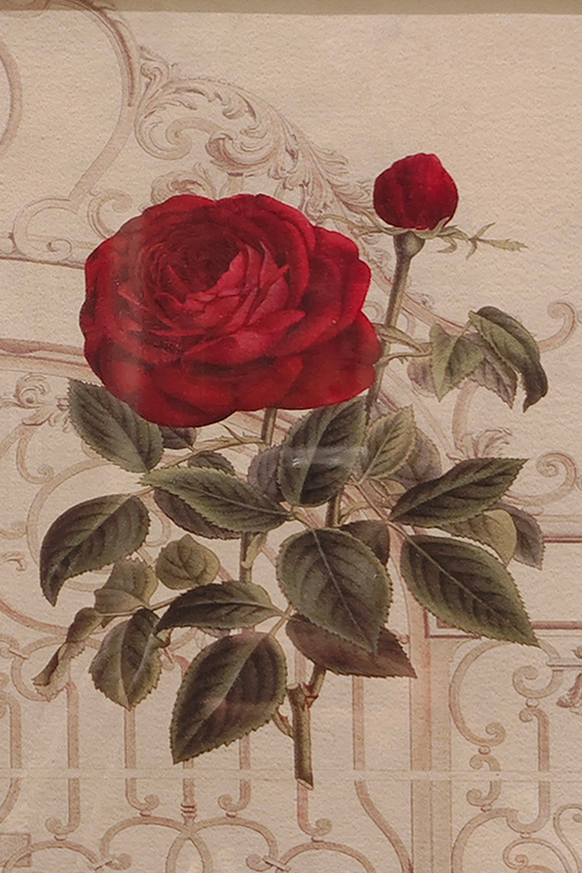 luxury blooming rose wall decor