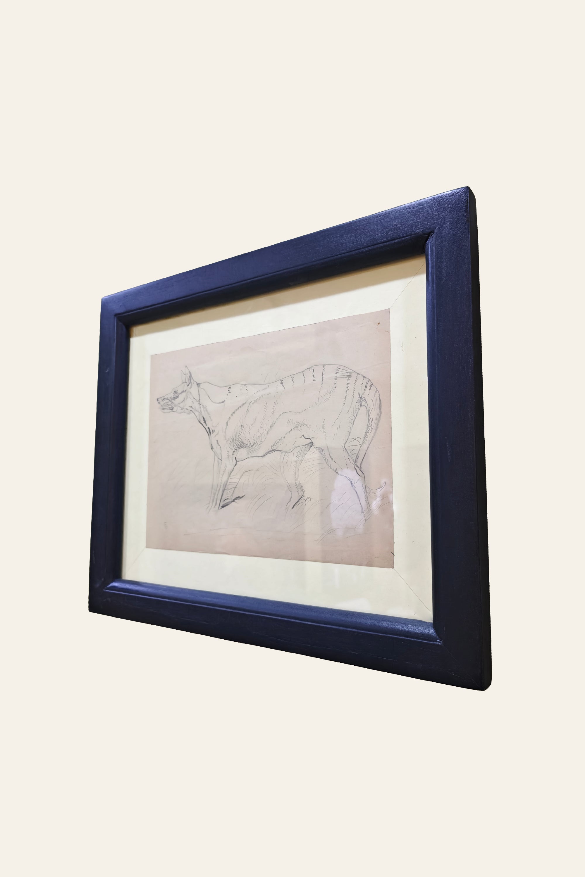 monochrome Tasmanian tiger artwork