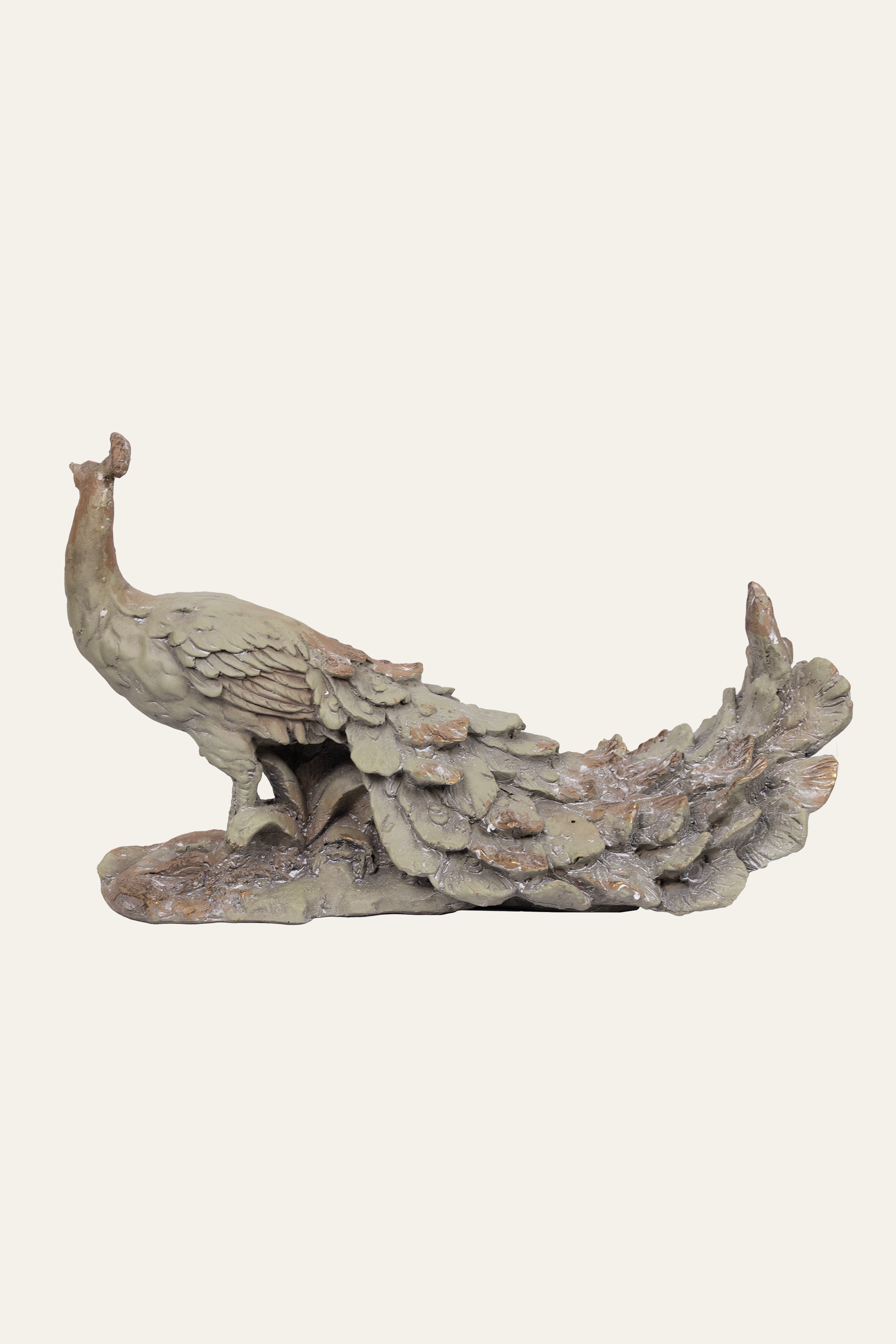 peacock in a vintage avatar