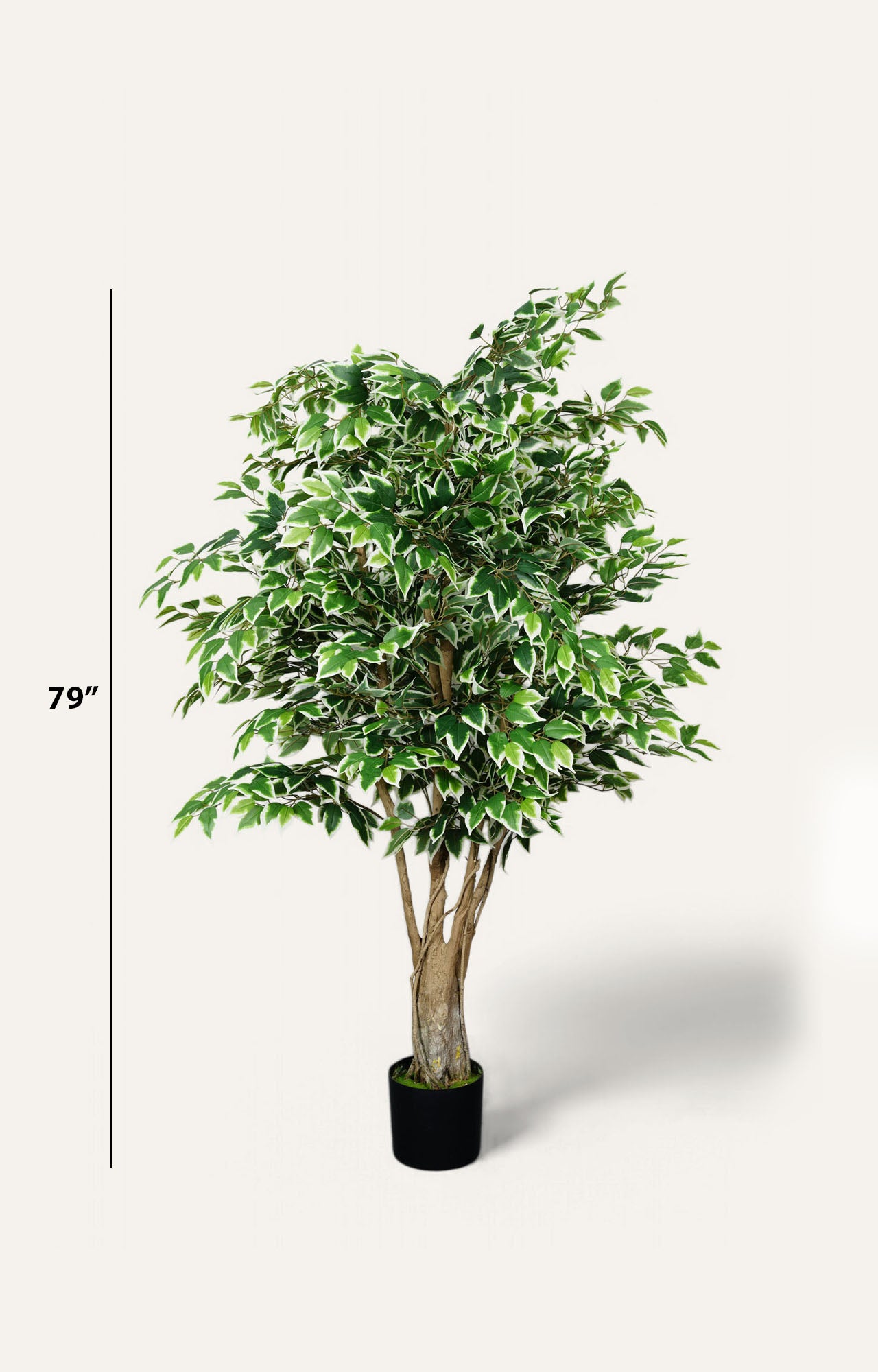 Artificial Variegated Ficus Tree – 6.5 Feet
