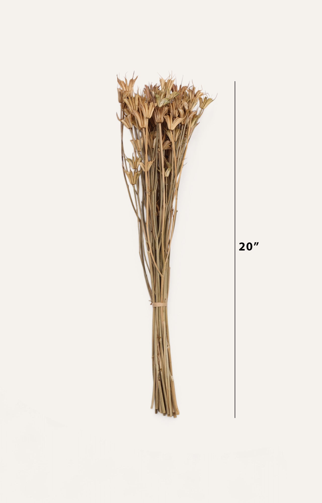 Oneiro Natural Dried Flower Bouquet