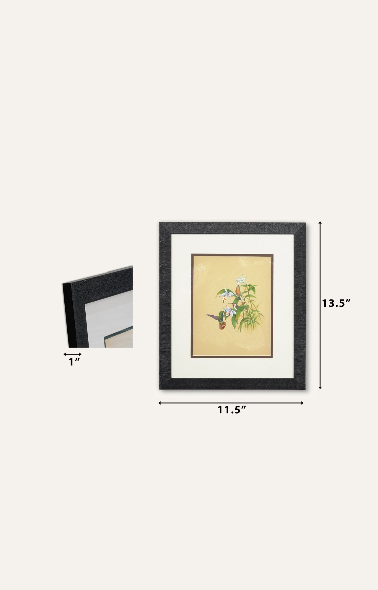 Handpainted Hummingbird on white Hibiscus Flower - Framed