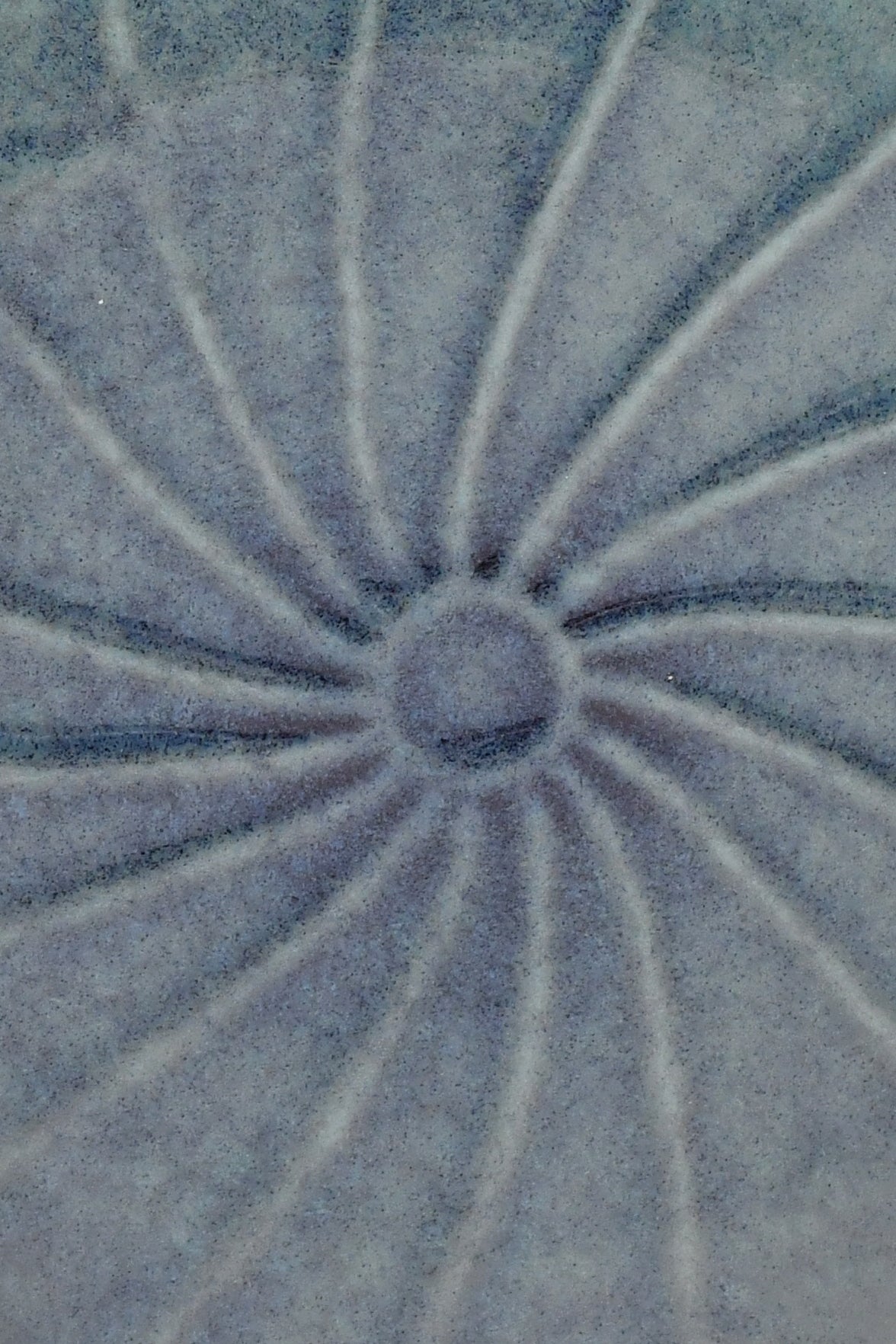 stylish lotus leaf plate