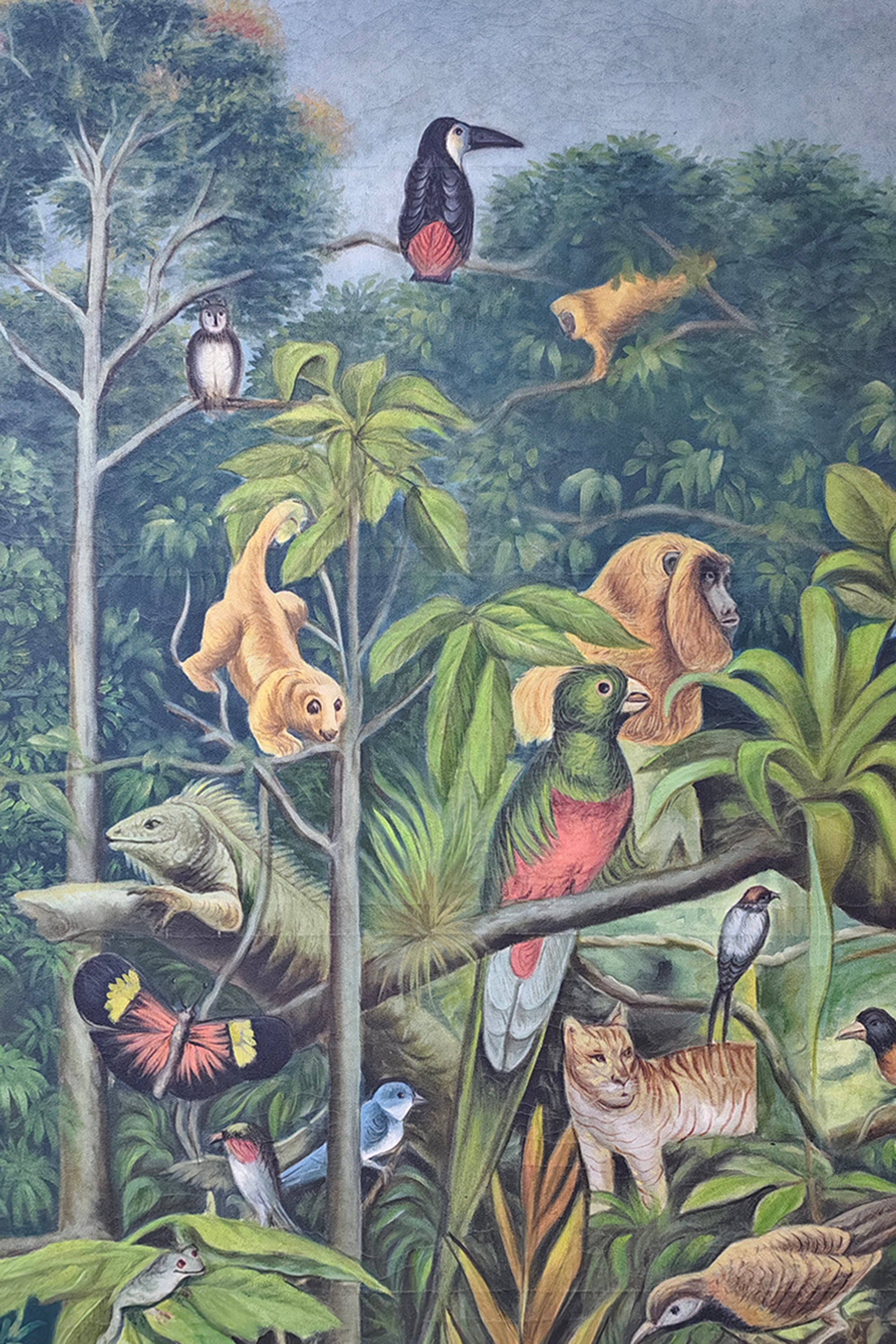 tropical birds and wildlife wall art