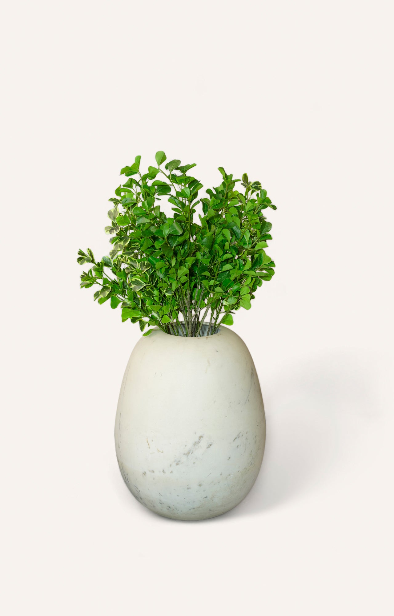 Elegant White Ceramic Plant Pot