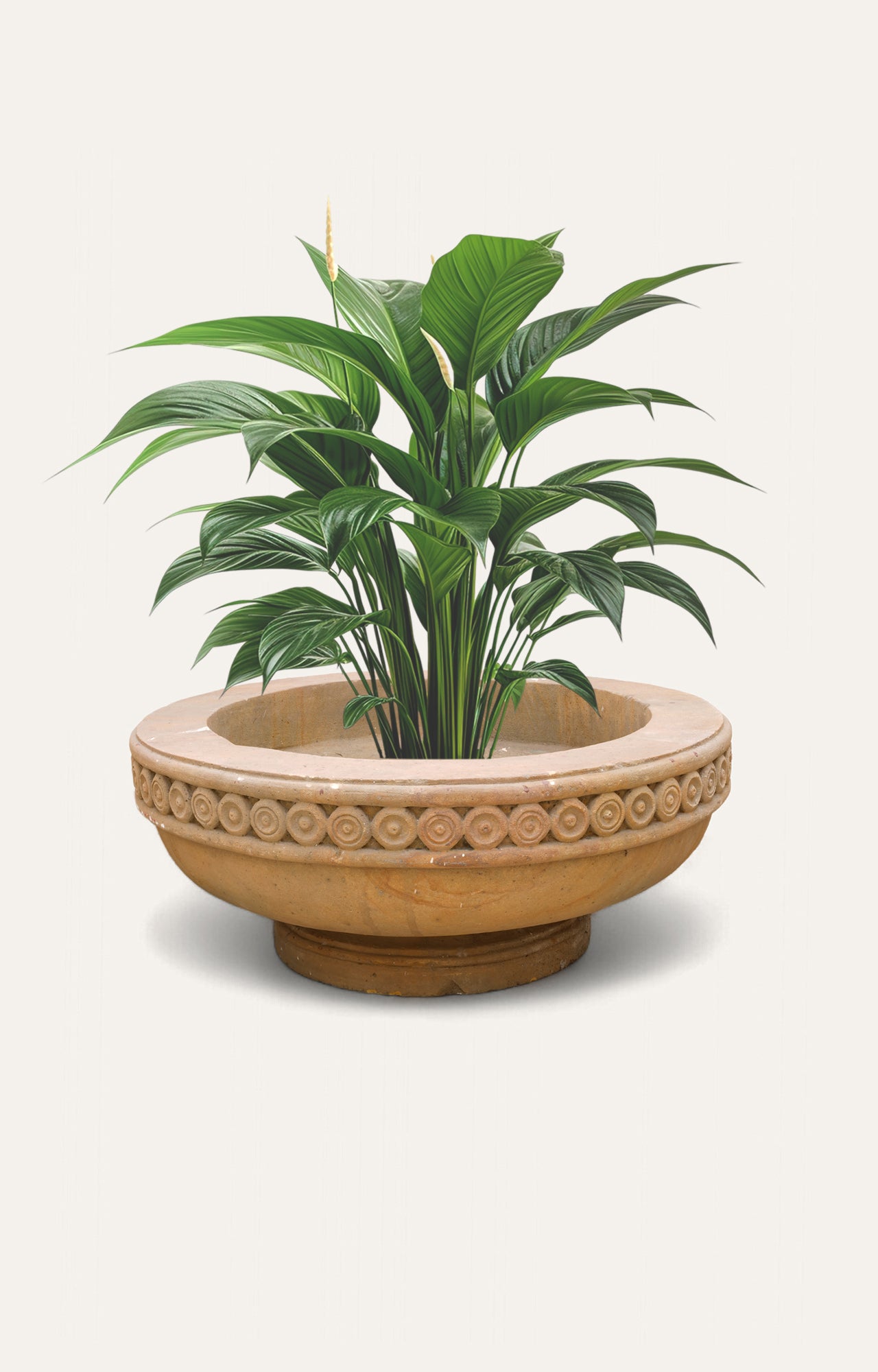 Carved Stone Bowl Planter