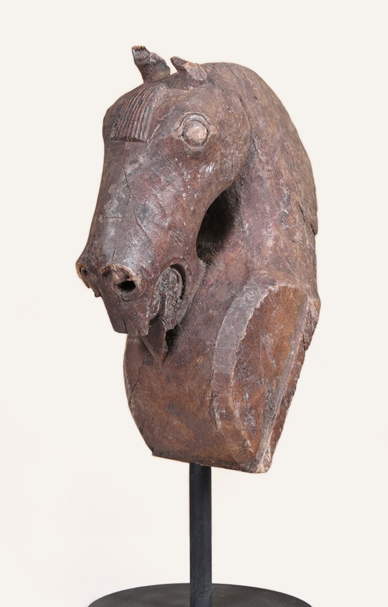 Hand Carved Horse Head on Stand